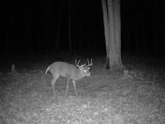 Wausau Land Real Estate