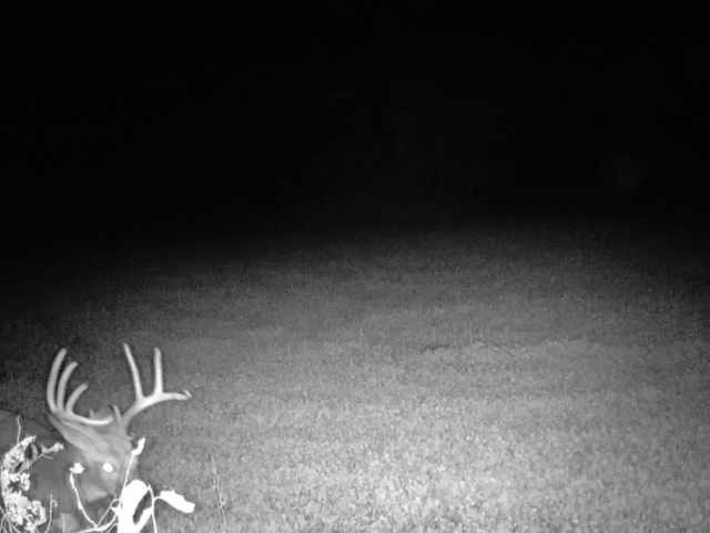 Wausau Land Real Estate