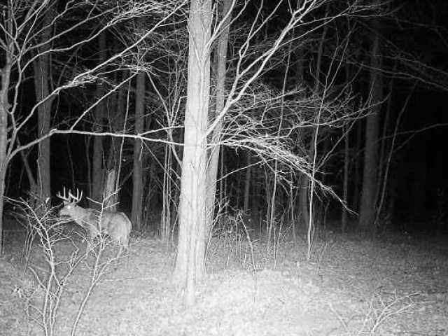 Wausau Land Real Estate