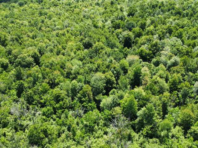 Wausau Land Real Estate