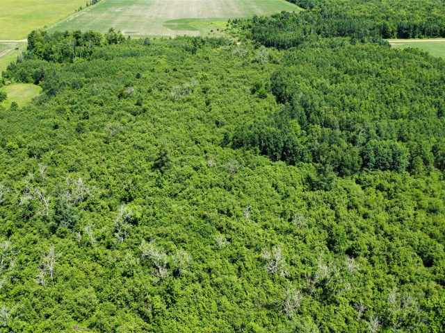 Wausau Land Real Estate