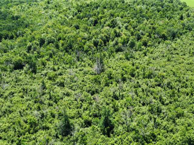 Wausau Land Real Estate