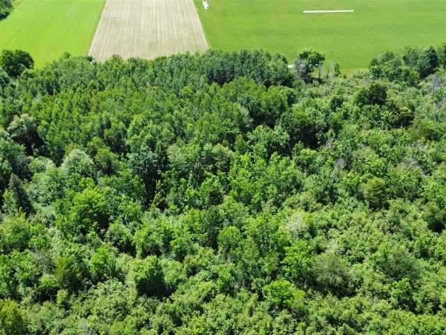 Wausau Land Real Estate