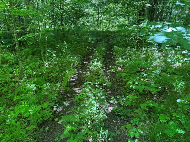 Wausau Land Real Estate