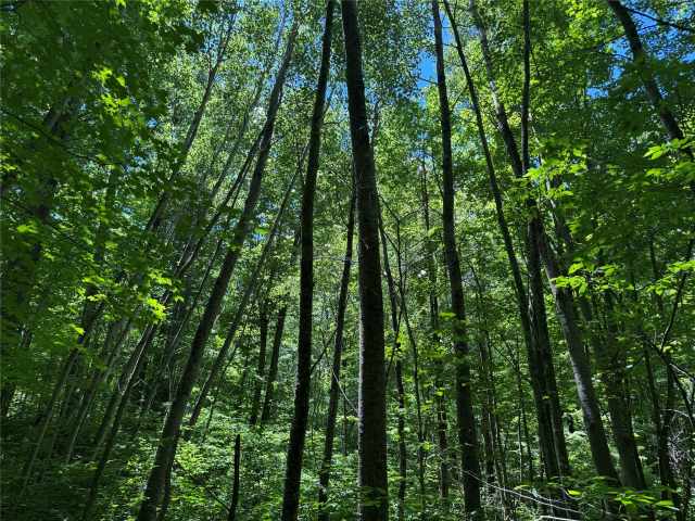 Wausau Land Real Estate