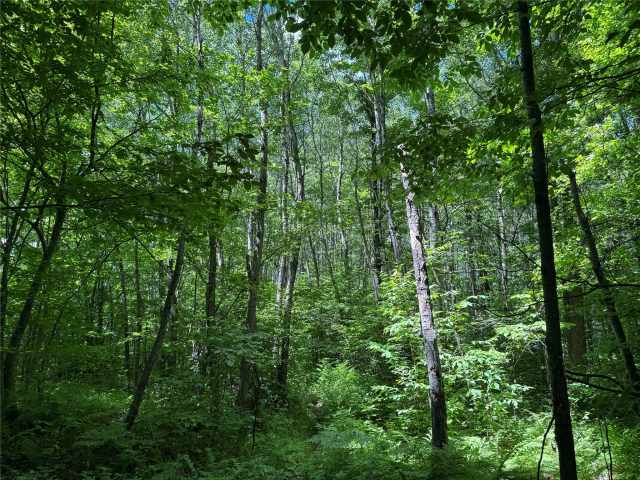 Wausau Land Real Estate
