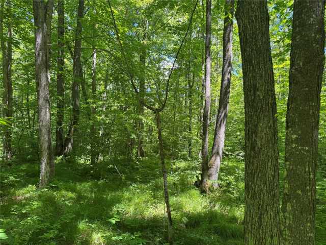 Wausau Land Real Estate