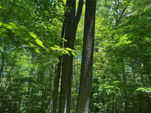 Wausau Land Real Estate