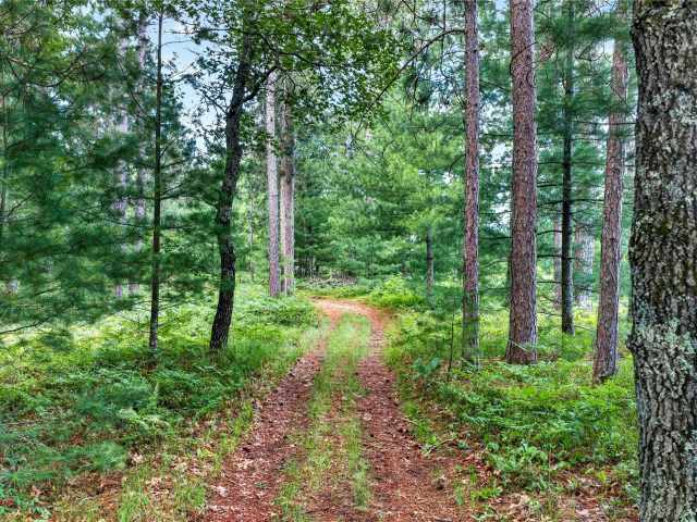 Danbury Residential Real Estate
