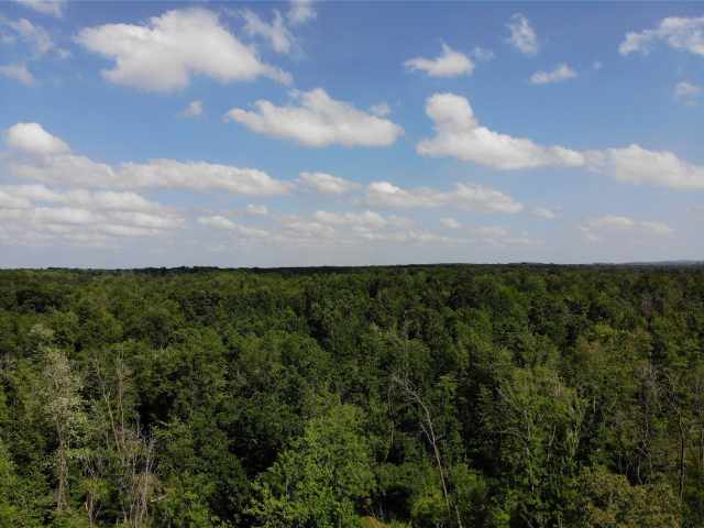 Augusta Land Real Estate