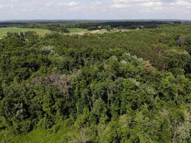 Augusta Land Real Estate