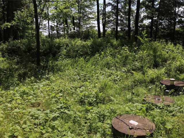 Augusta Land Real Estate