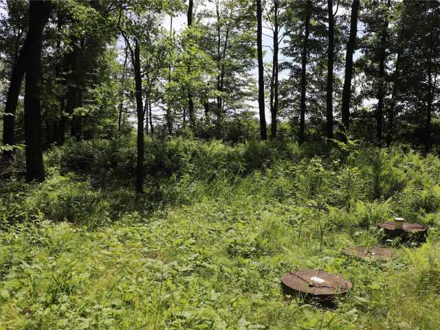 Augusta Land Real Estate