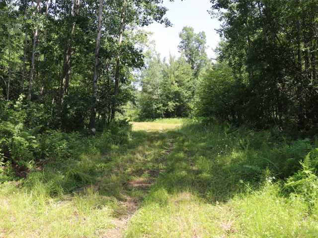 Augusta Land Real Estate