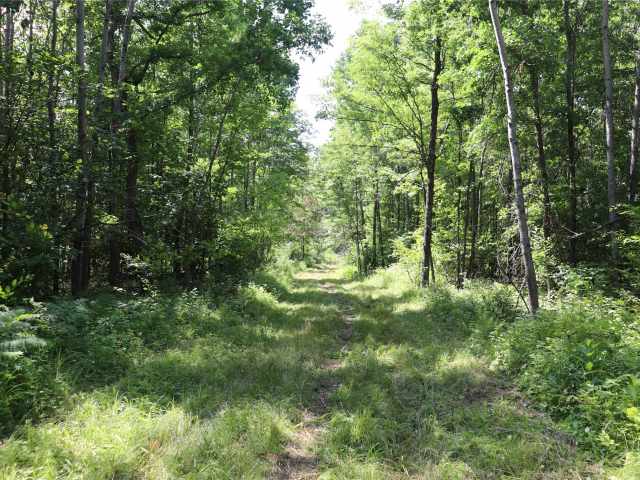 Augusta Land Real Estate