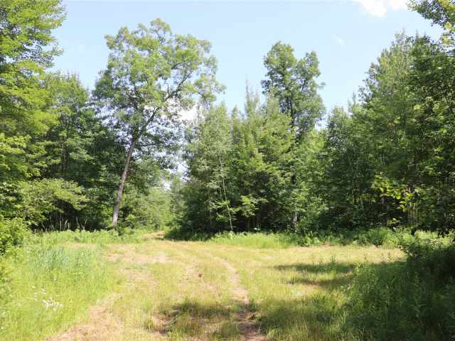 Augusta Land Real Estate