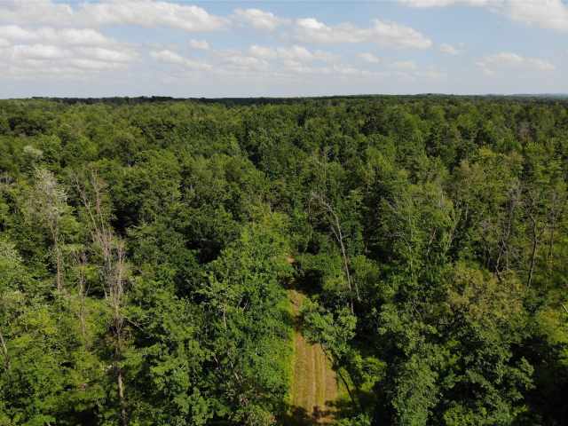 Augusta Land Real Estate