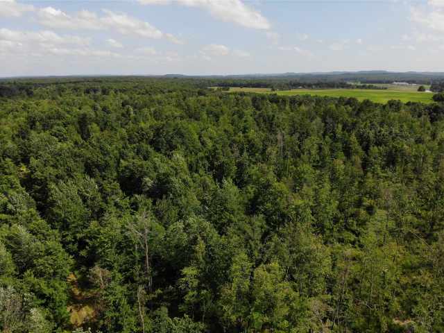 Augusta Land Real Estate
