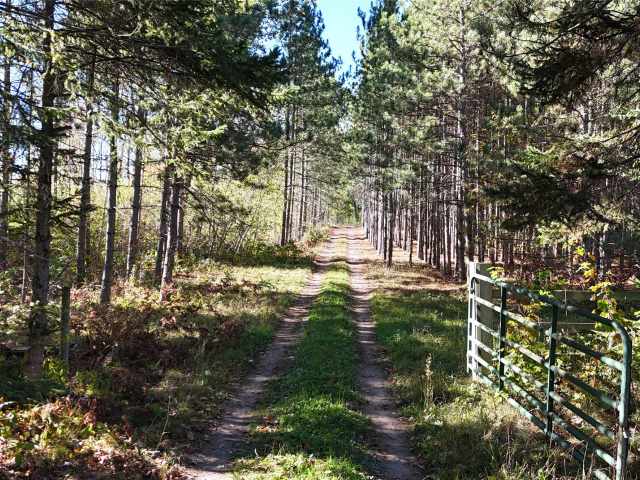 Spooner Land Real Estate