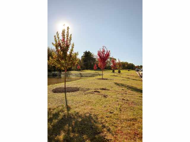 Amery Residential Real Estate