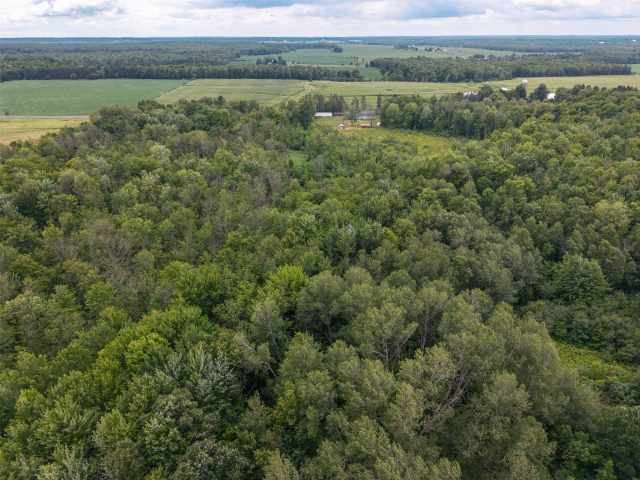 Gilman Residential Real Estate