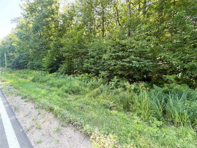 Birchwood Land Real Estate