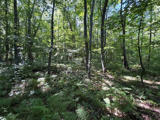 Birchwood Land Real Estate