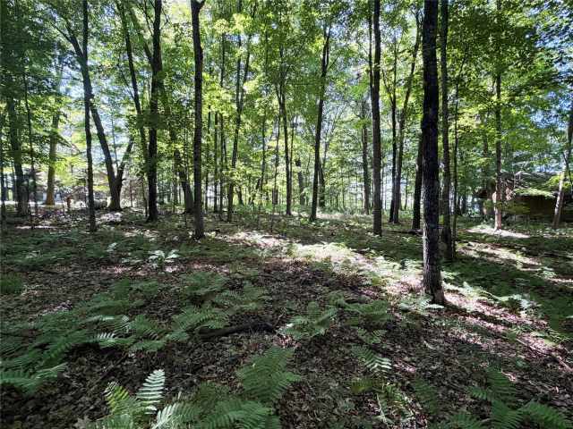 Birchwood Land Real Estate