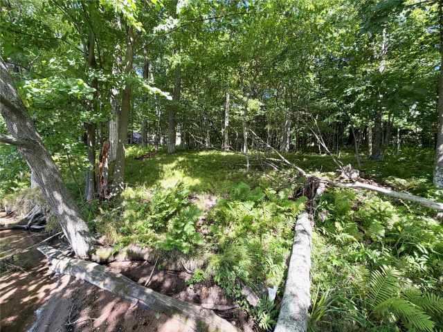 Birchwood Land Real Estate