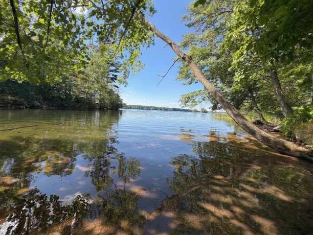 Birchwood Land Real Estate