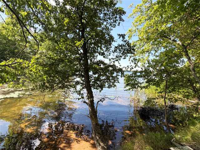Birchwood Land Real Estate
