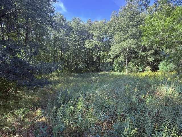 Shell Lake Land Real Estate