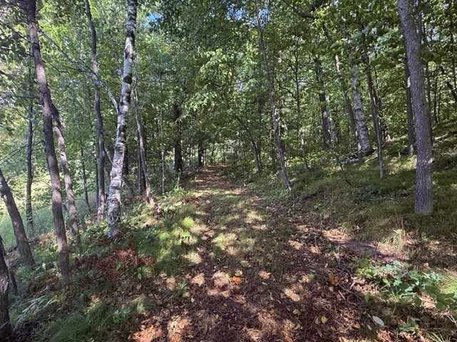 Shell Lake Land Real Estate