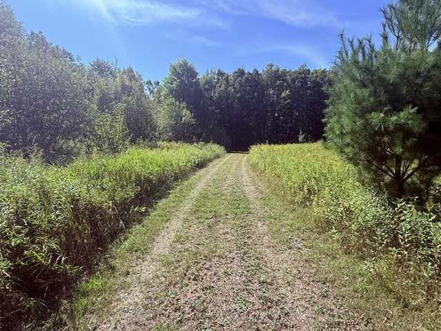 Shell Lake Land Real Estate