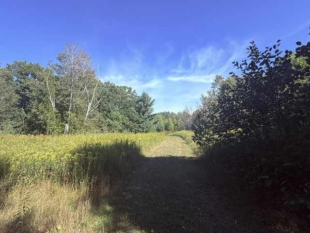 Shell Lake Land Real Estate