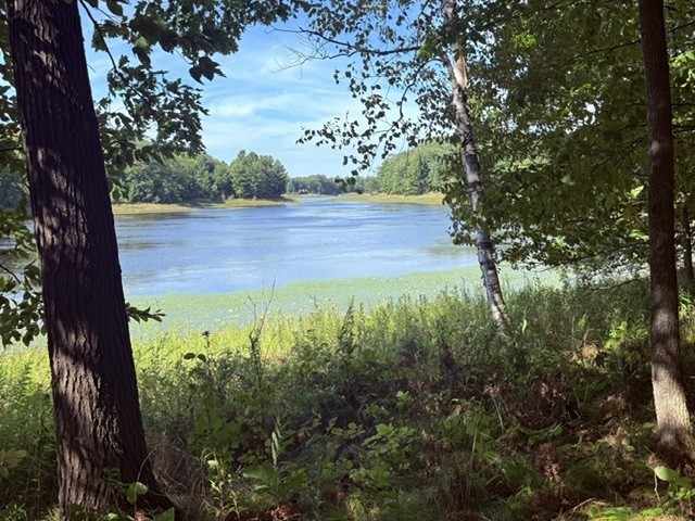 Shell Lake Land Real Estate