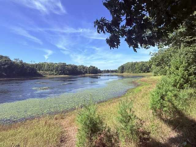 Shell Lake Land Real Estate