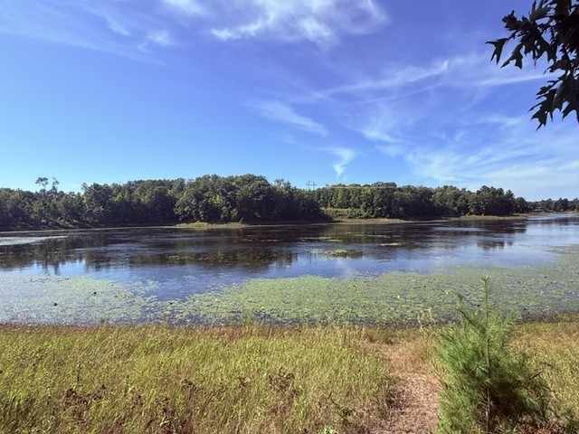 Shell Lake Land Real Estate