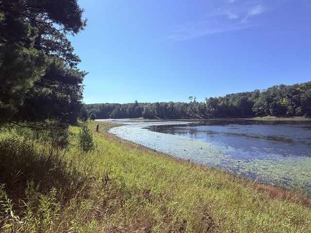 Shell Lake Land Real Estate