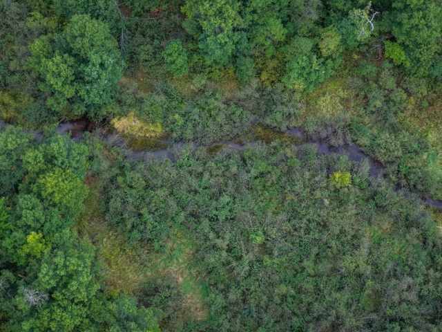 Springbrook Residential Real Estate