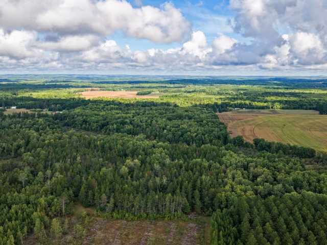 Springbrook Residential Real Estate