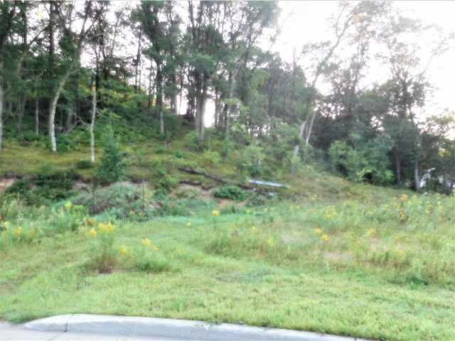 Eau Claire Land Real Estate