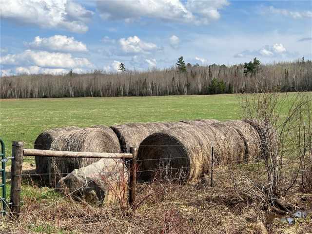 Iron River Land Real Estate