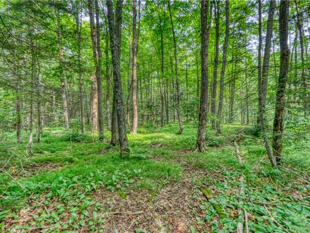 Cable Residential Real Estate