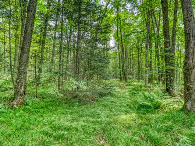 Cable Residential Real Estate