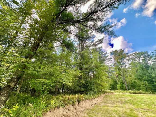 Neillsville Residential Real Estate