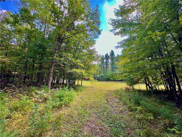 Neillsville Residential Real Estate
