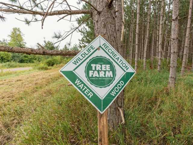 Barron Land Real Estate