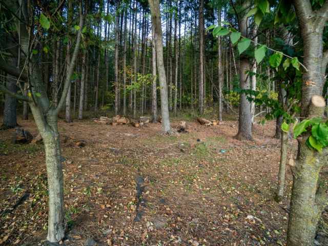 Boyceville Residential Real Estate