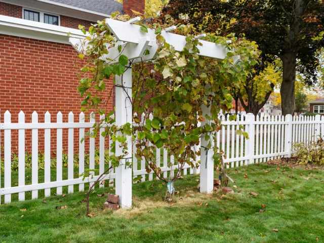 Chippewa Falls Residential Real Estate